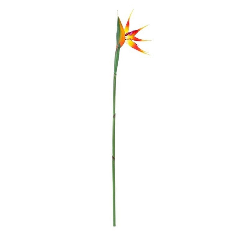 Искусственные цветы стрелиции  – обзор и цена Bird Paradise Strelitzia